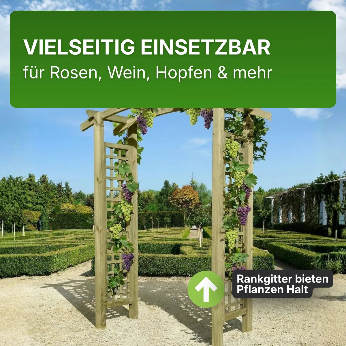 Torbogen Pergola 160x62x220 cm mit Rankgitter