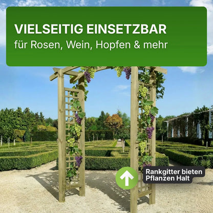 Torbogen Pergola 160x62x220 cm mit Rankgitter