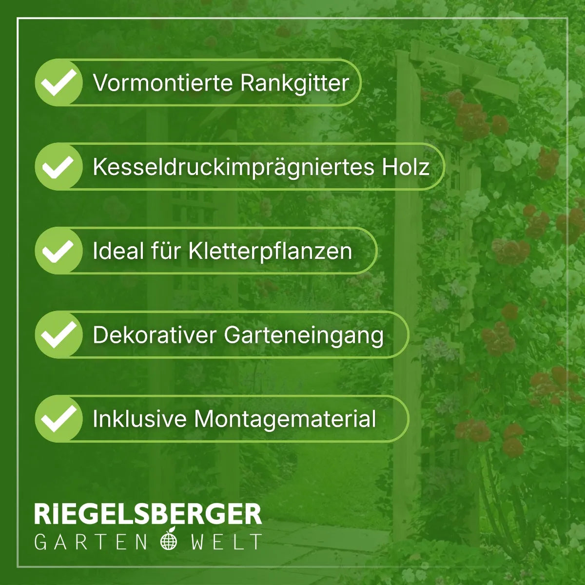 Torbogen Pergola 160x62x220 cm mit Rankgitter