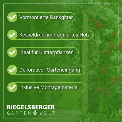 Torbogen Pergola 160x62x220 cm mit Rankgitter